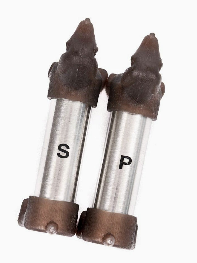 Stainless Steel Dachshund Salt & Pepper Shakers *Dogs