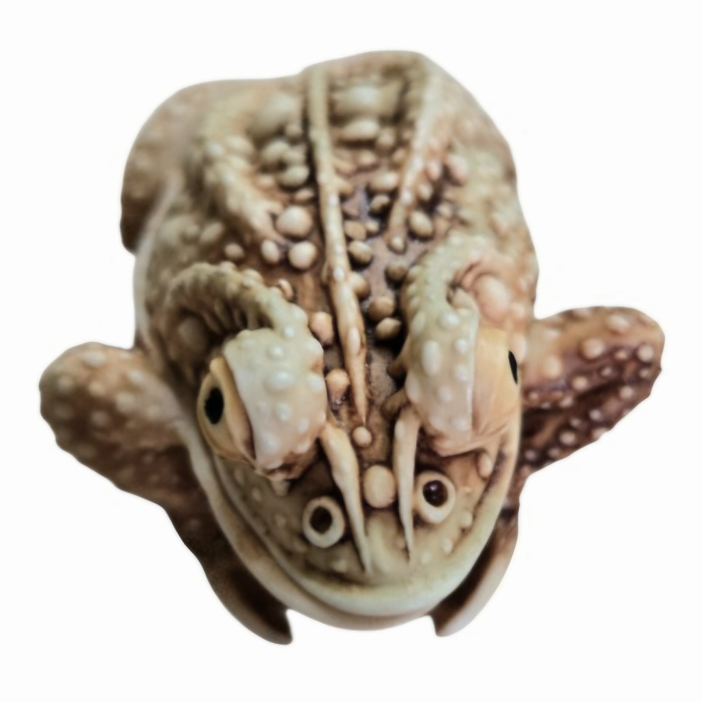 Harmony Kingdom Princely Thoughts "TOAD FROG" Trinket Box Figurine Retired (1987)