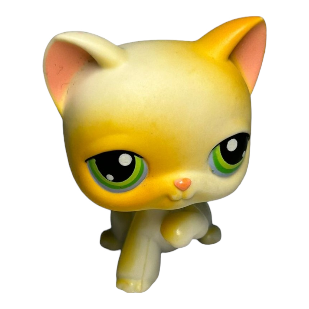 Littlest Pet Shop *Six (6) Colorful Kitty Cats