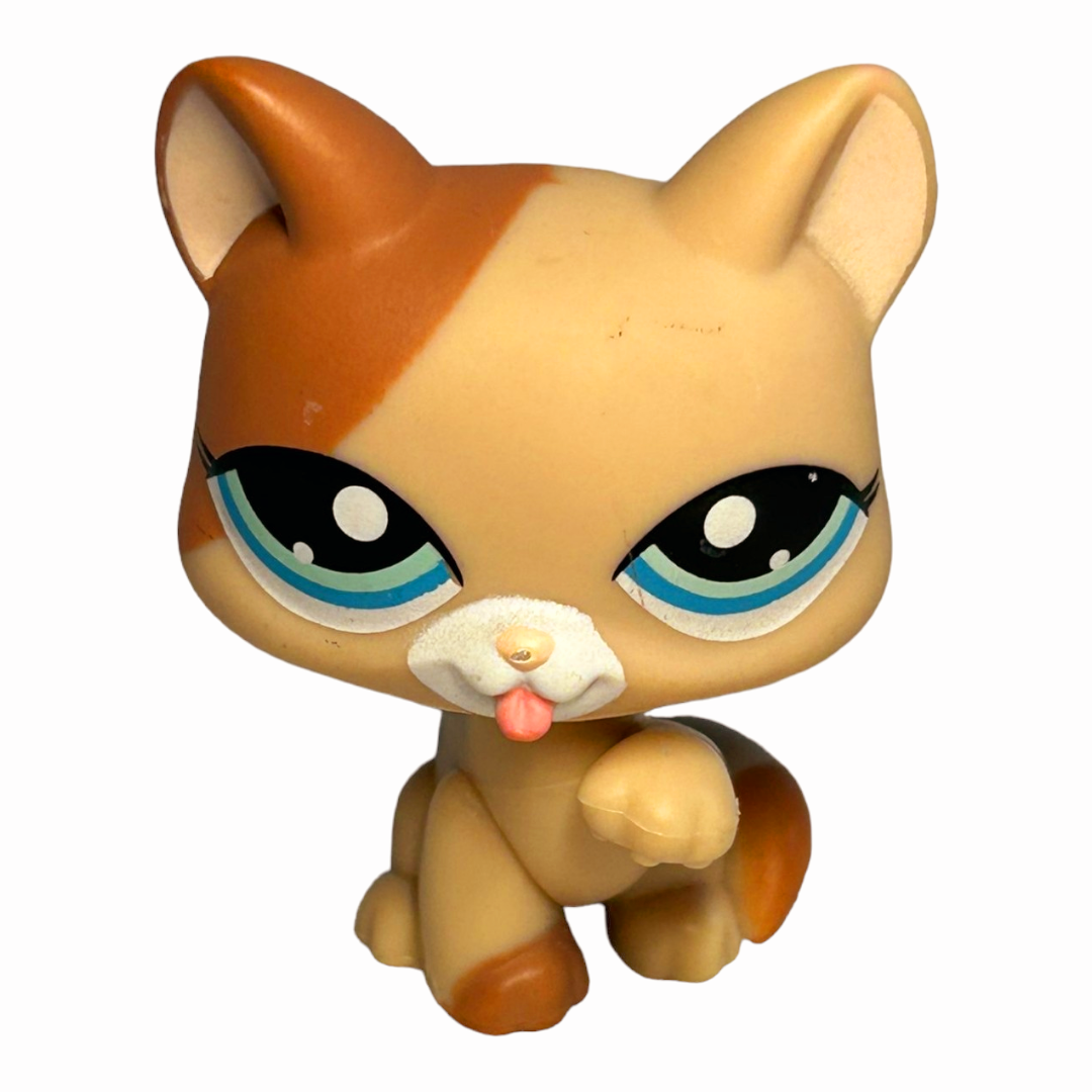 Littlest Pet Shop *Six (6) Colorful Kitty Cats