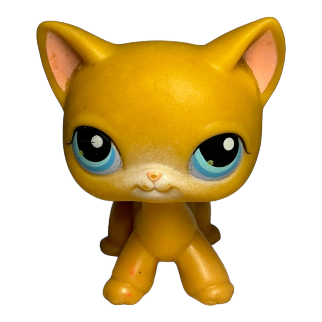 Littlest Pet Shop *Six (6) Colorful Kitty Cats