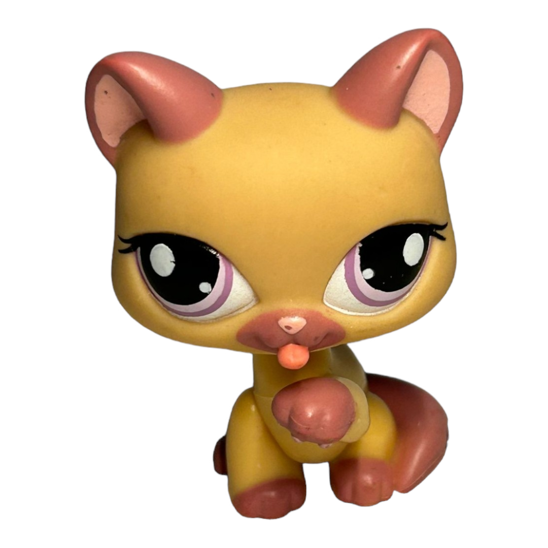 Littlest Pet Shop *Six (6) Colorful Kitty Cats