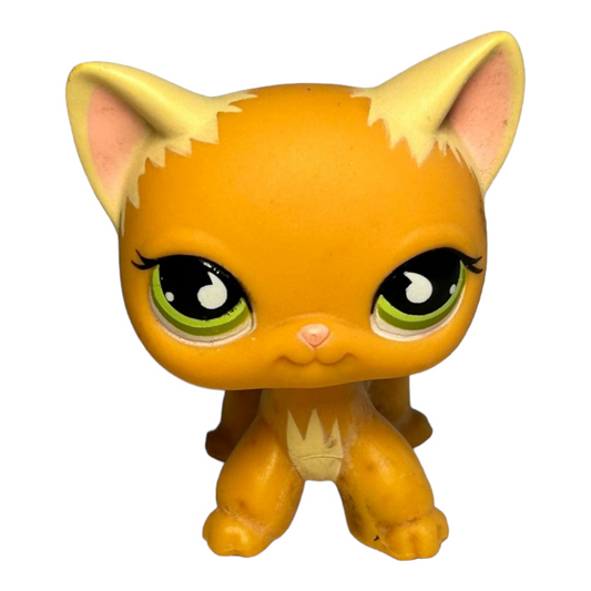 Littlest Pet Shop Lot *A Cute "Orange Short Hair Cat" #525