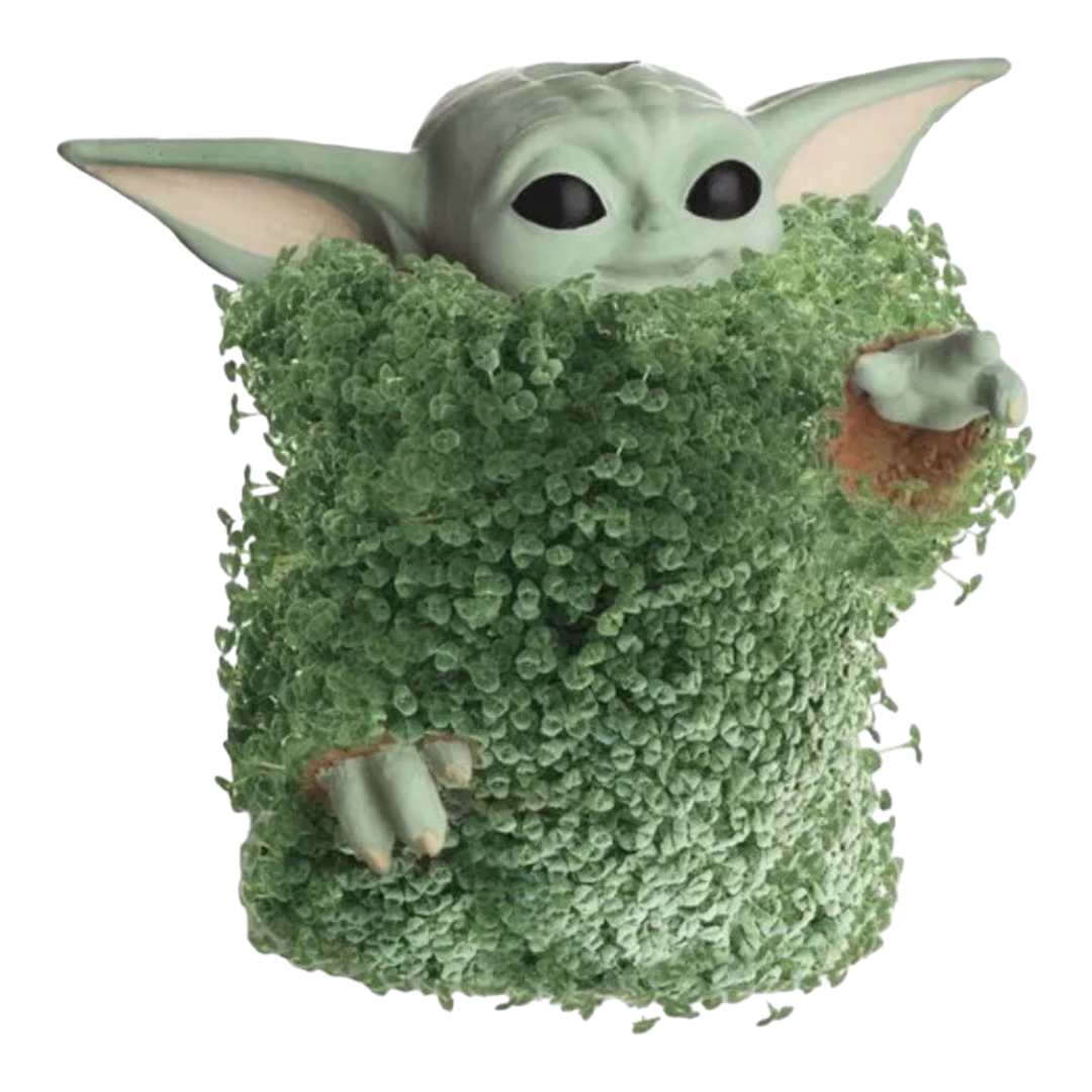 NIB *Star Wars The Mandalorian "Chia Pet" The Child Decorative Planter Yoda