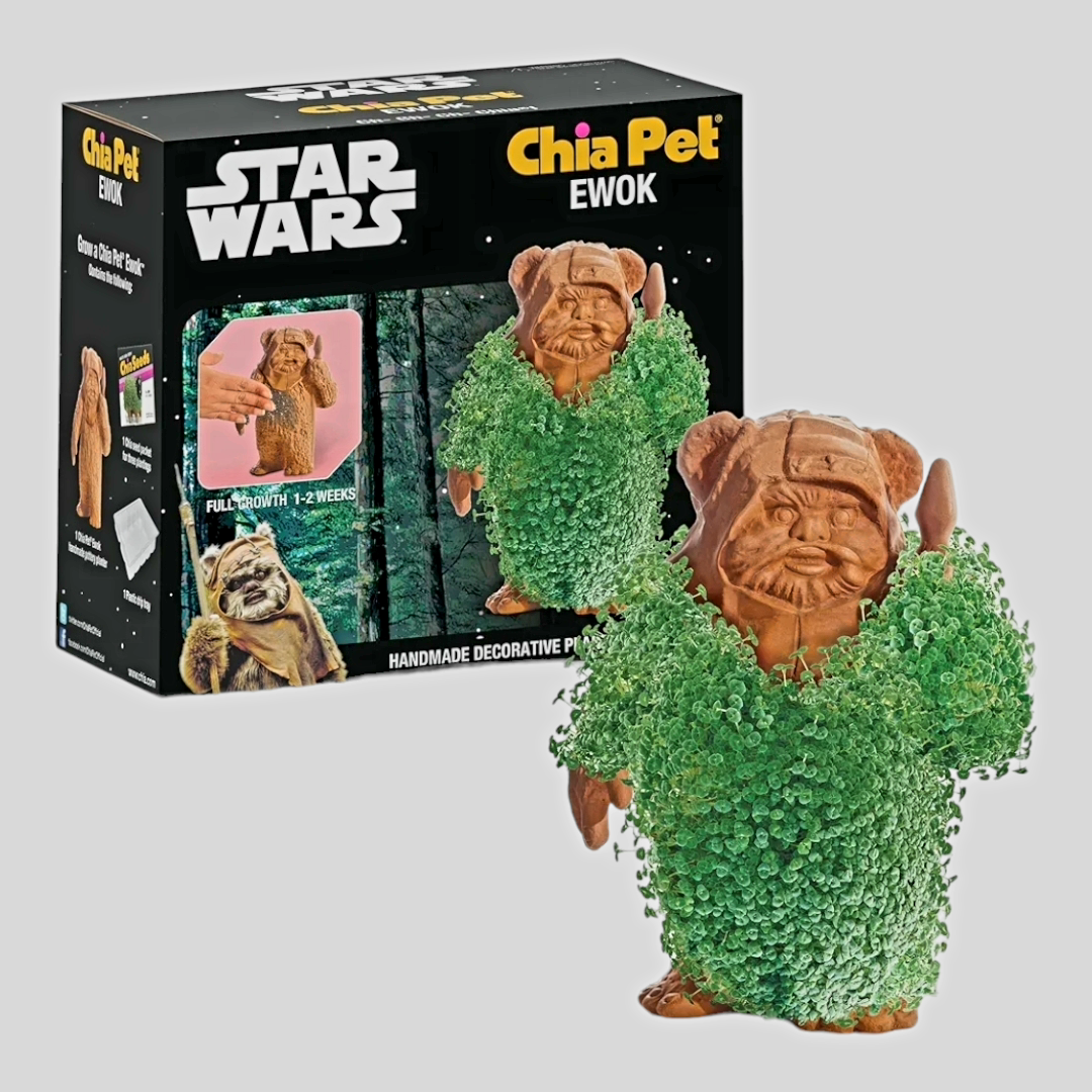 NIB *Star Wars Chi PET "EWOK" Pet Planter Figure Disney Lucasfilms