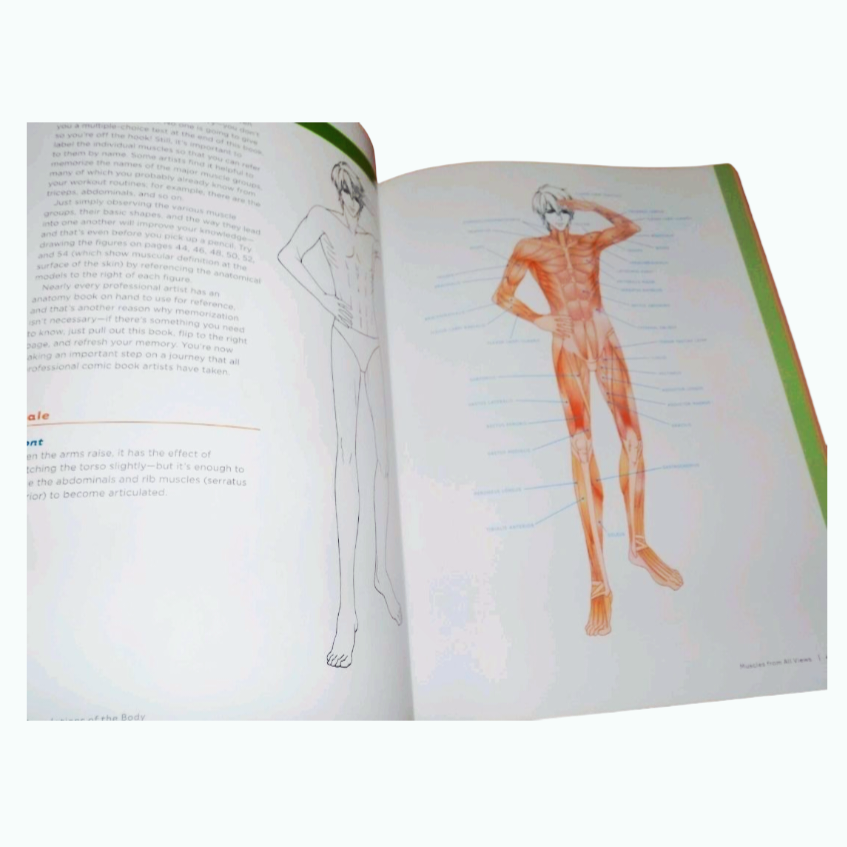 Basic Anatomy for the Manga Artist: Start Drawing Manga Characters Book