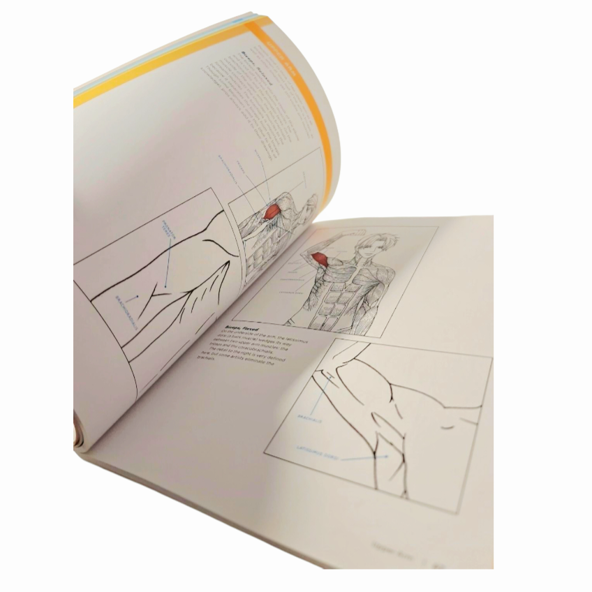 Basic Anatomy for the Manga Artist: Start Drawing Manga Characters Book