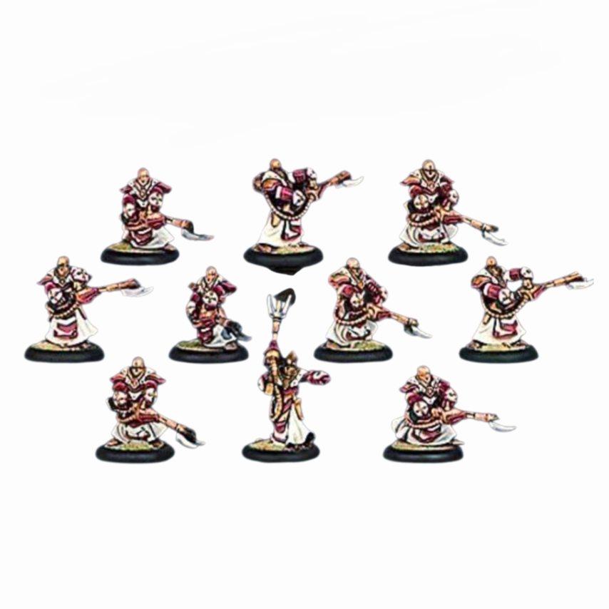 NEW *Warmachine Protectorate of Menoth Flameguard Cleansers