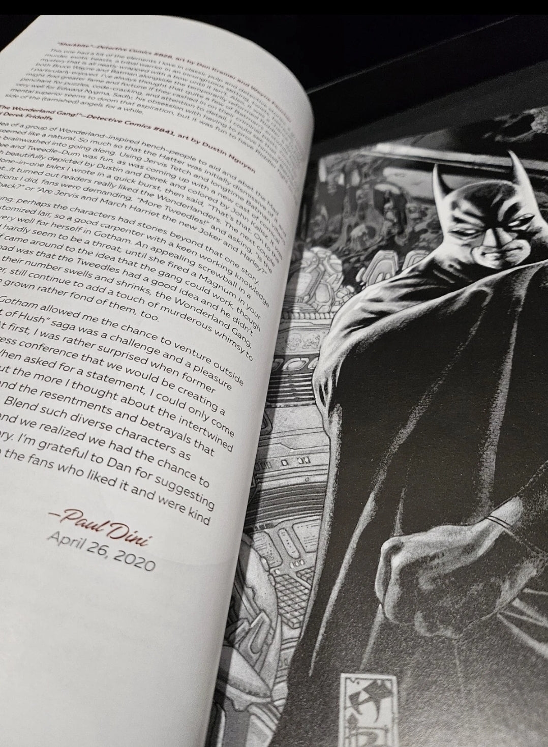 DC Comics *BATMAN by Paul Dini Omnibus 2020 [Hardcover] 1032-pgs.