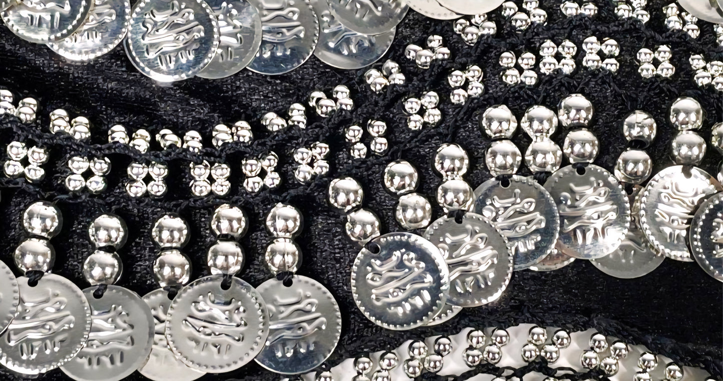 Beautiful *Women's Black Belly Dance Wave Shape Hip Scarf w/ Silver Coins (60")