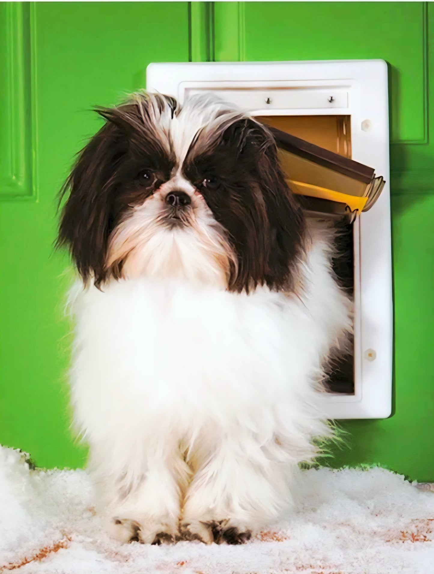 NIB *PetSafe Replacement Flap Extreme Weather Pet Door #PAC11-11037 (Small)