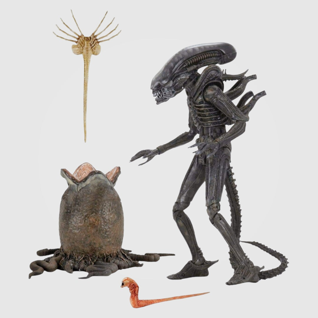 NIB *NECA Alien - 7" Scale Action Figure - Ultimate 40th Anniversary Big Chap