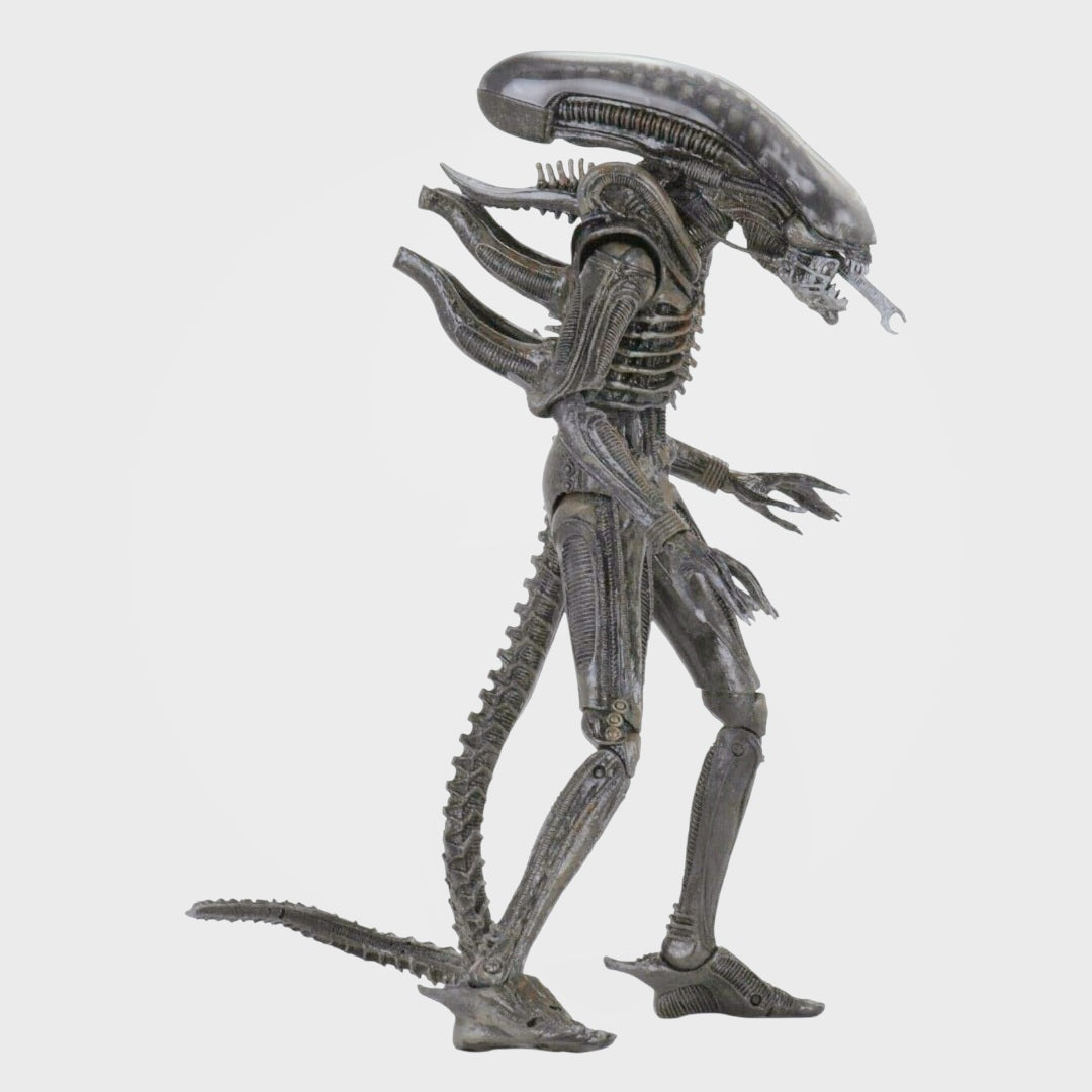 NIB *NECA Alien - 7" Scale Action Figure - Ultimate 40th Anniversary Big Chap