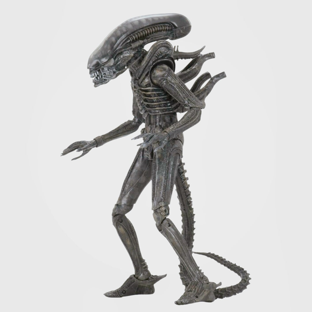 NIB *NECA Alien - 7" Scale Action Figure - Ultimate 40th Anniversary Big Chap