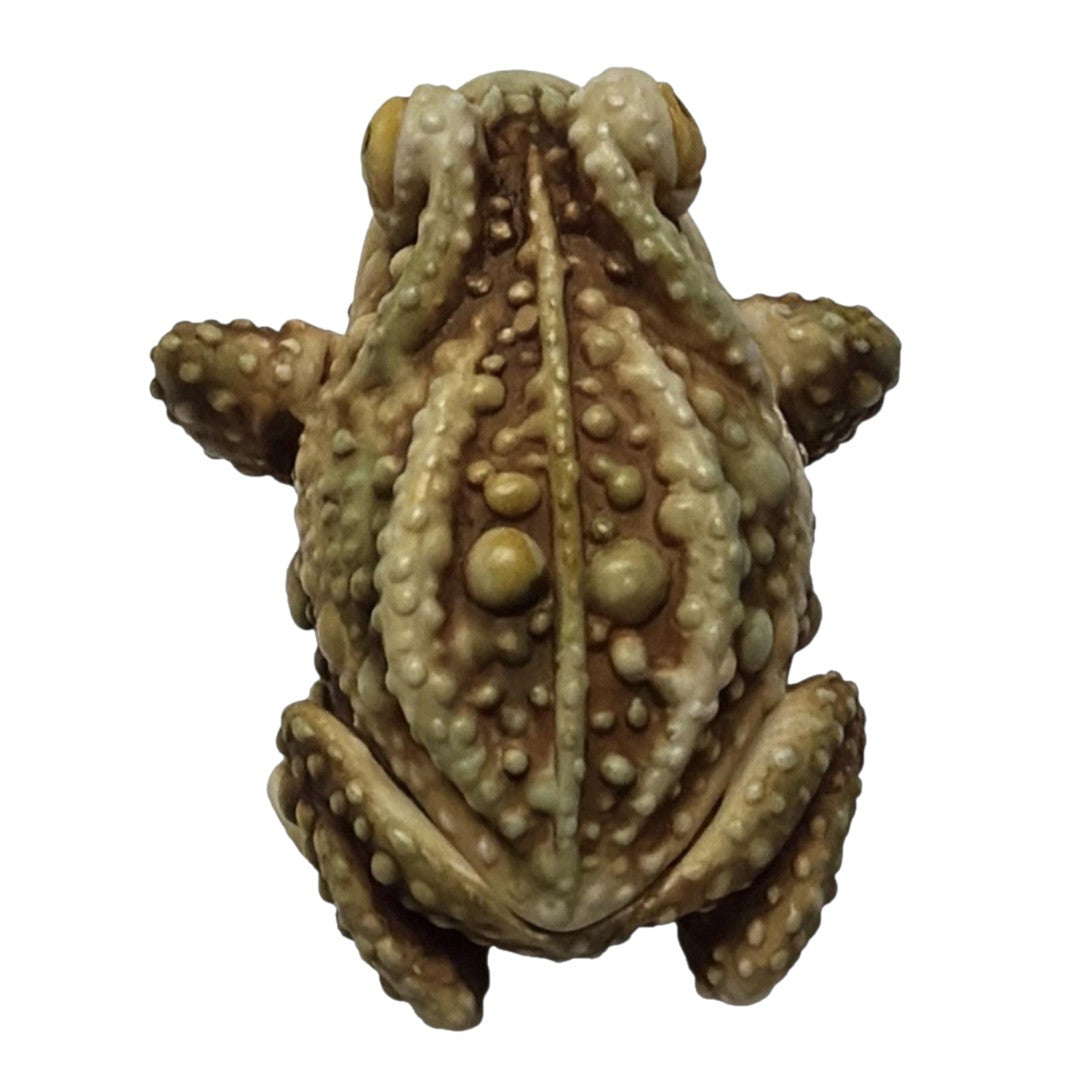 Harmony Kingdom Princely Thoughts "TOAD FROG" Trinket Box Figurine Retired (1987)