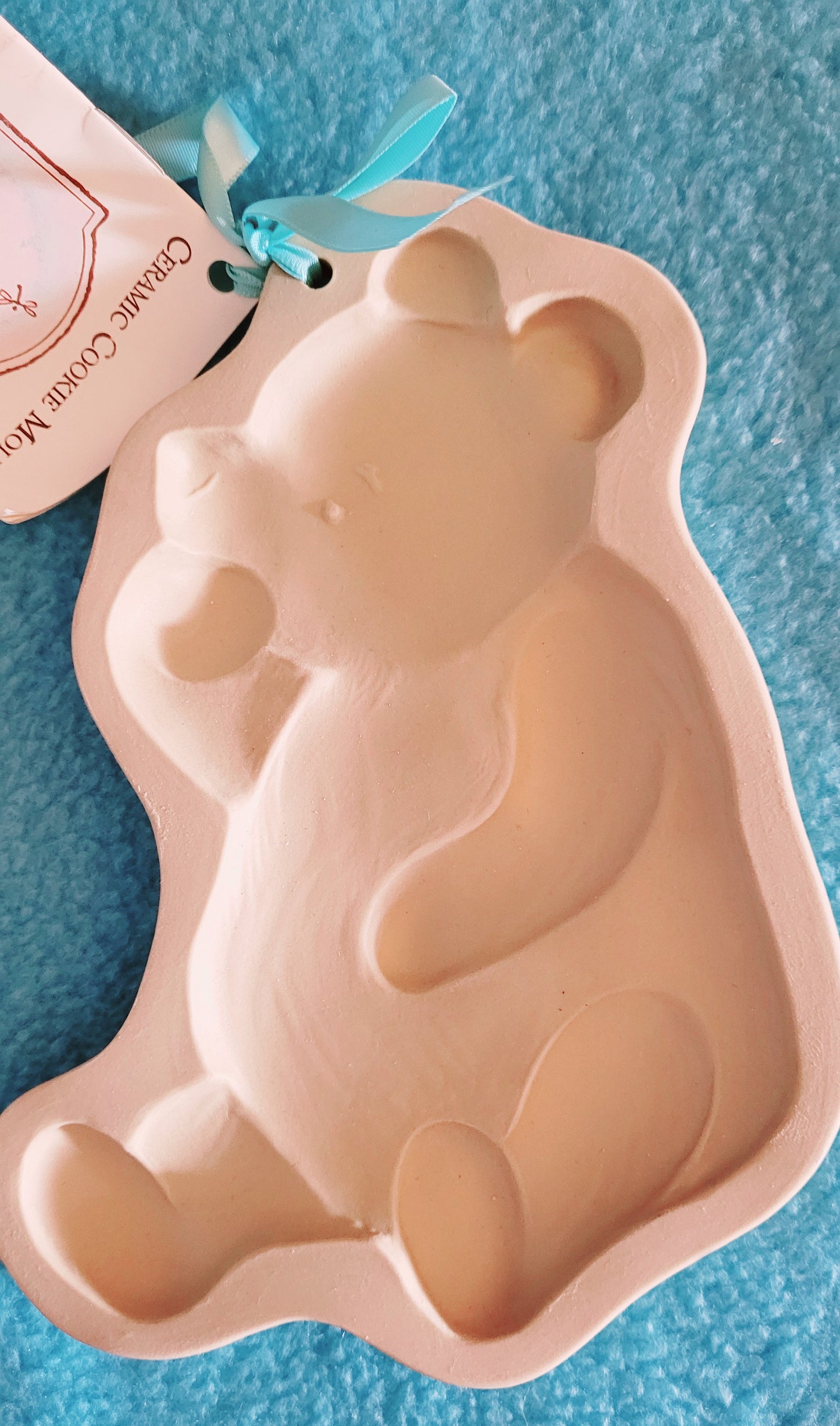 Brown Bag Cookie Art *Classic Pooh Molds "Three Cheers For Pooh" (NEW)