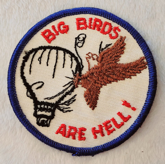 Balloons vs Big Birds Funny Saying *Hot Air Balloon Patch