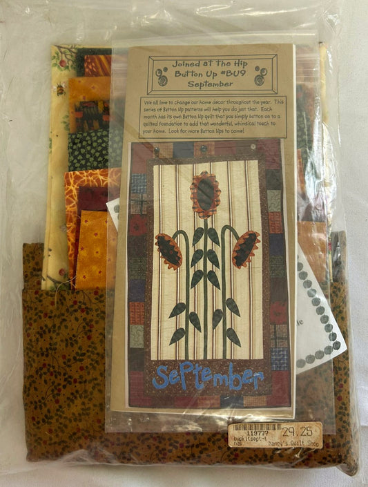 RARE *Joined At The Hip (Sept.) #BU9 Button Up Wall Quilt Pattern 28"x48"