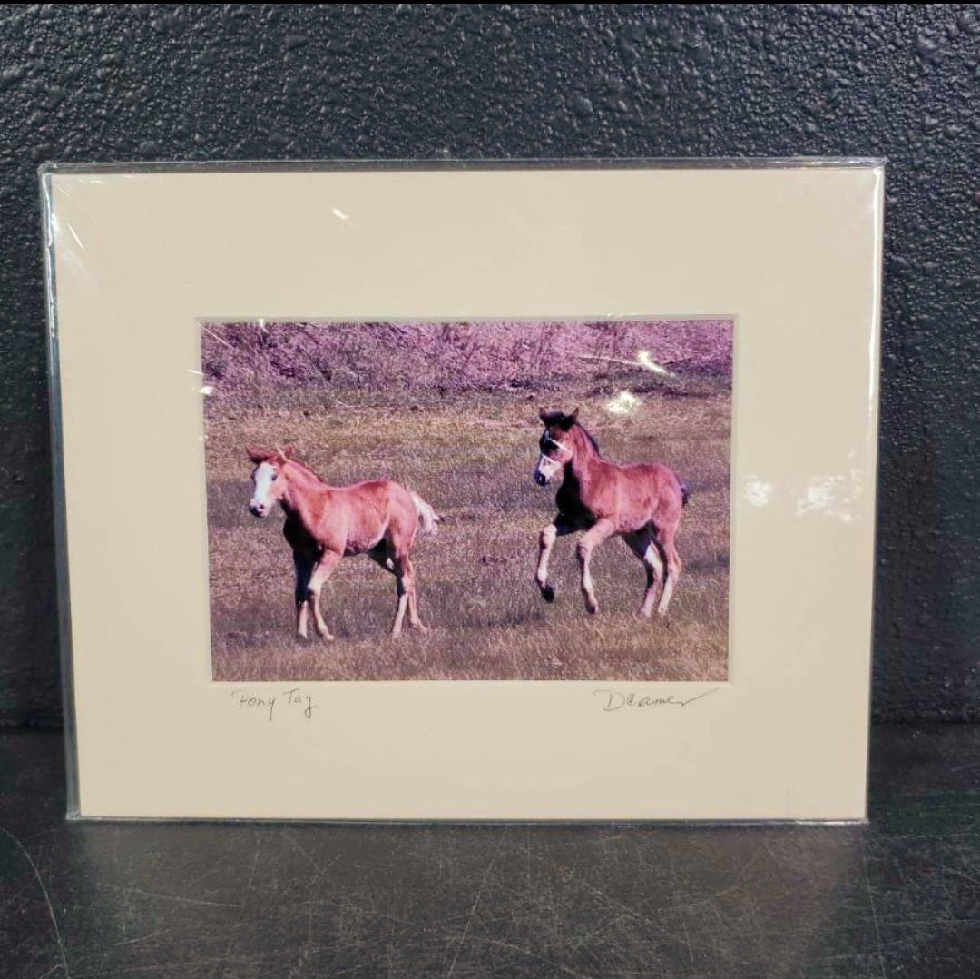 "Pony Tag" Fine Art Photo Signed David Cramer