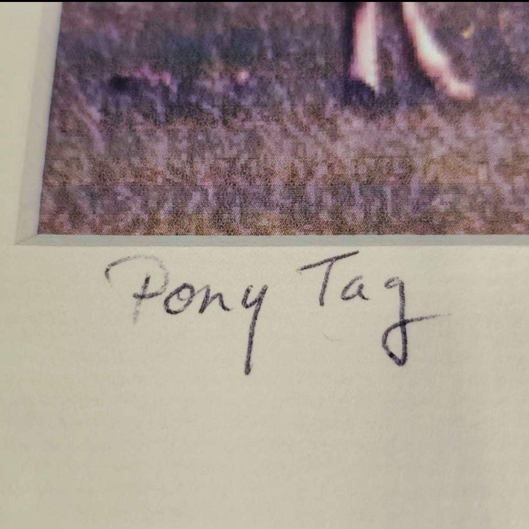 "Pony Tag" Fine Art Photo Signed David Cramer